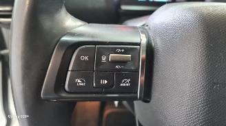 Citroën E-C4 Shine 50 kWh picture 38