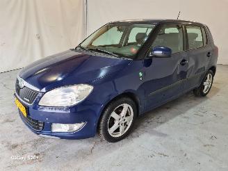 Unfallwagen Skoda Fabia 1.2 TDI Greenline 2011/10