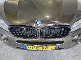 BMW X5 XDRIVE50I picture 10