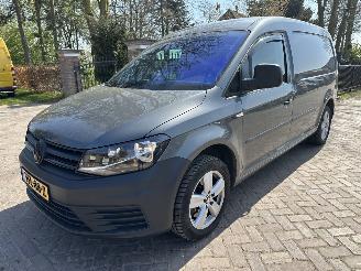occasione veicoli commerciali Volkswagen Caddy maxi 2.0 TDI L2 maxi 110 Kw marge 2017/7
