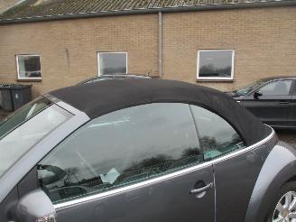 Volkswagen New-beetle 1.4-16V Trendline picture 28