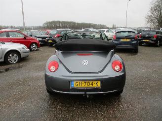 Volkswagen New-beetle 1.4-16V Trendline picture 6