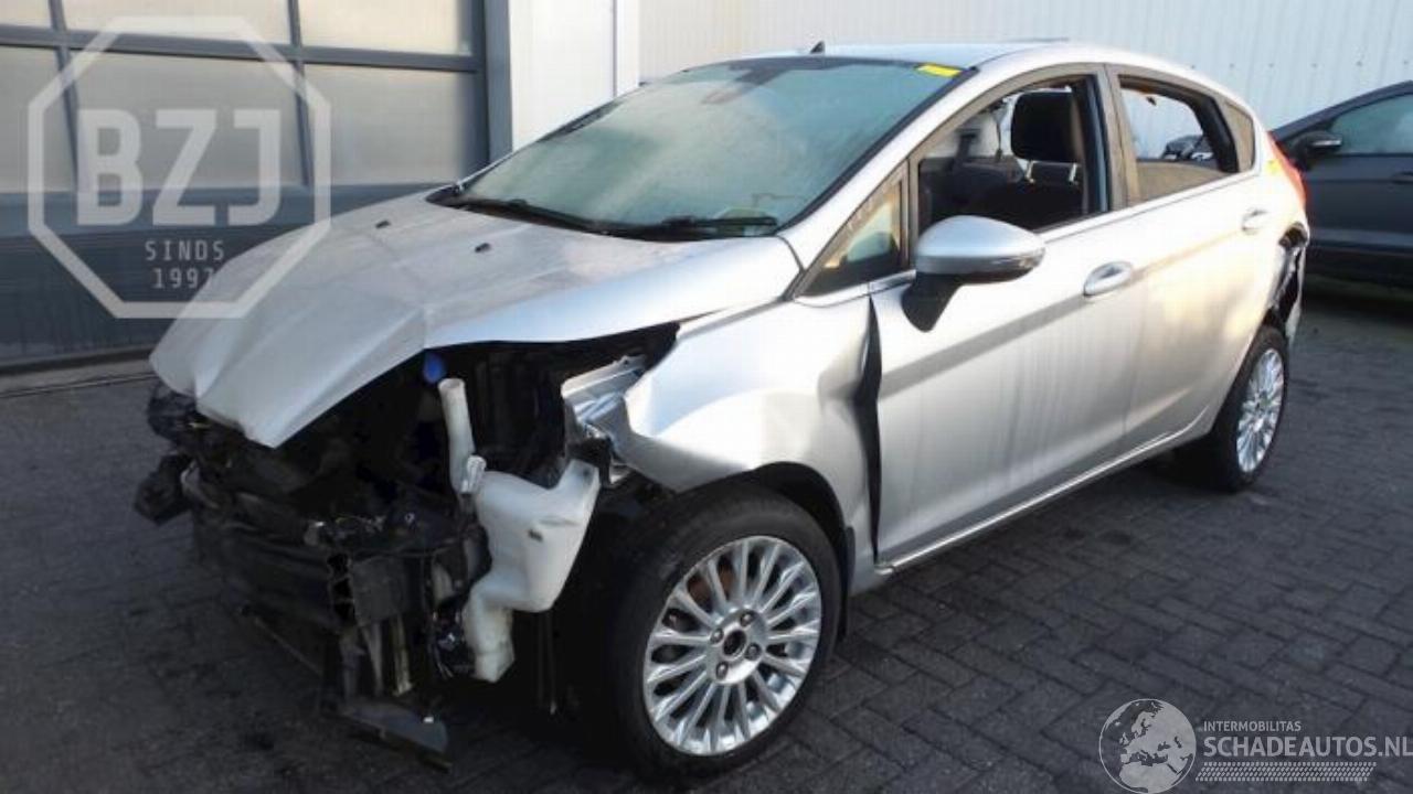 Ford Fiesta Fiesta 6 (JA8), Hatchback, 2008 / 2017 1.0 EcoBoost 12V 100