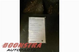 Peugeot Partner Partner (EF/EU), Van, 2018 e-Partner 50 kWh picture 11