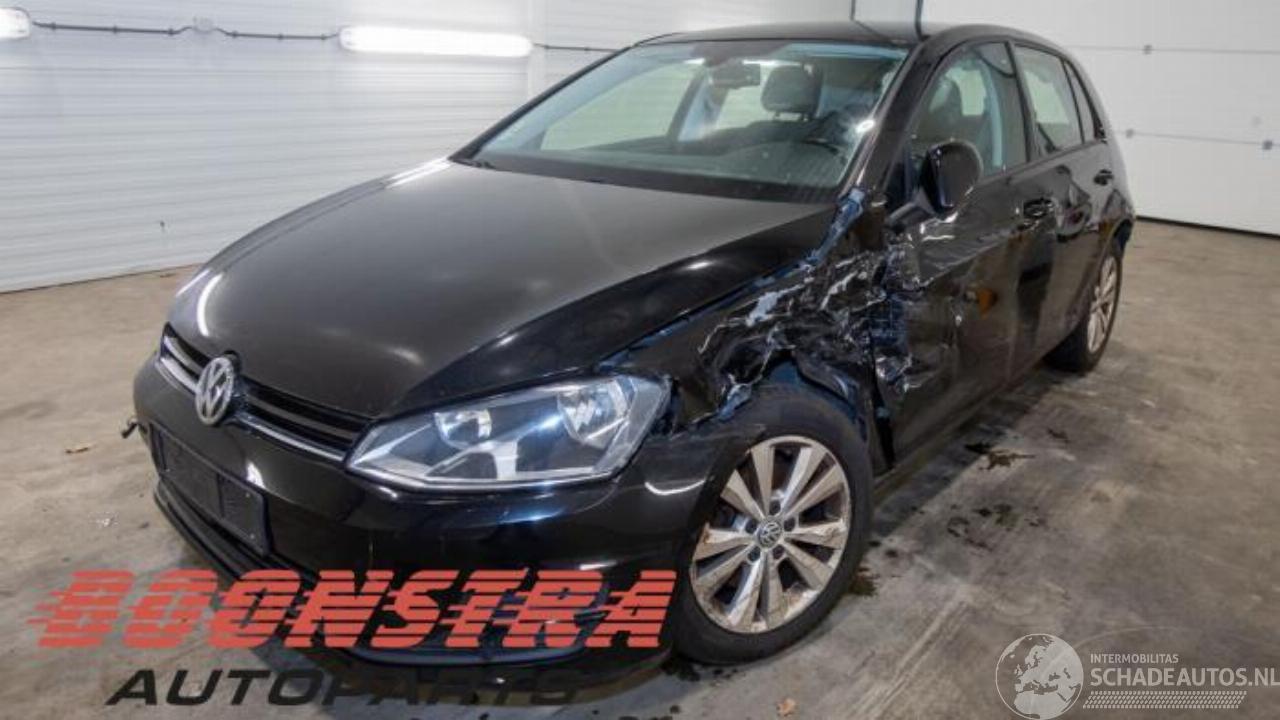 Volkswagen Golf Golf VII (AUA), Hatchback, 2012 / 2021 1.4 TSI Multifuel 16V