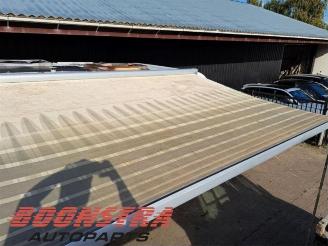 Fiat Ducato Ducato (250), Ch.Cab/Pick-up, 2006 2.3 D 130 Multijet picture 18