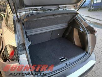 Peugeot 2008 2008 (UD/UK/UR/US/UX), MPV, 2019 e-2008 50 kWh picture 20