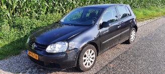 Coche siniestrado Volkswagen Golf 1.4 16v 2005/3