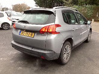 Peugeot 2008 1.2 VTi Pure Tech picture 5