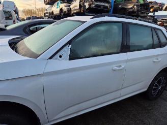 Dezmembrări autoturisme Skoda Kamiq Kamiq, SUV, 2019 1.0 TSI 12V 2022/10