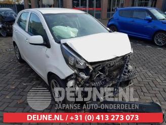Uttjänta bilar auto Kia Picanto Picanto (JA), Hatchback, 2017 1.0 12V 2017/5