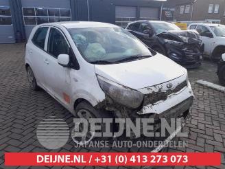 Salvage car Kia Picanto Picanto (JA), Hatchback, 2017 1.0 12V 2019/9