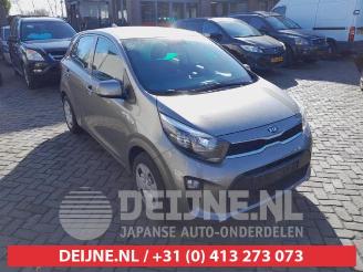 Salvage car Kia Picanto Picanto (JA), Hatchback, 2017 1.0 12V 2020/2