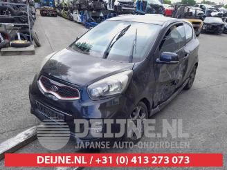 Salvage car Kia Picanto Picanto (TA), Hatchback, 2011 / 2017 1.2 16V 2012/6