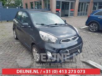 Vrakbiler auto Kia Picanto Picanto (TA), Hatchback, 2011 / 2017 1.2 16V 2012/3