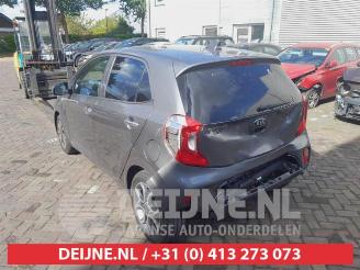 Kia Picanto Picanto (JA), Hatchback, 2017 1.0 DPi 12V picture 5