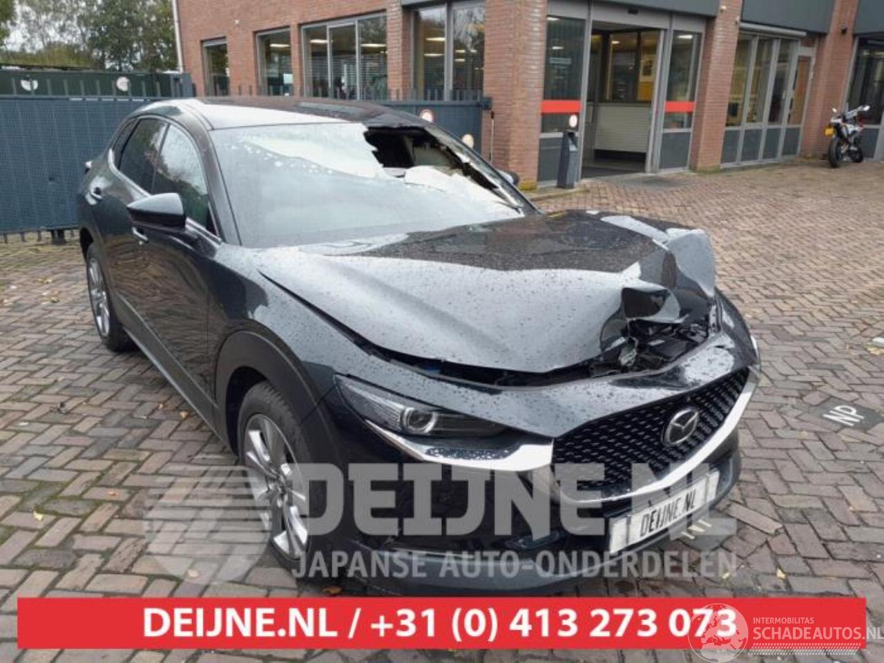 Mazda CX-30 CX-30 (DM), SUV, 2019 2.0 e-SkyActiv-G 122 16V