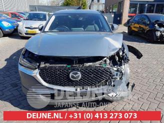 Mazda CX-30 CX-30 (DM), SUV, 2019 2.0 e-SkyActiv-G 122 16V picture 2