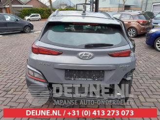 Hyundai Kona Kona (OS), SUV, 2017 / 2023 1.0 T-GDI 12V picture 6