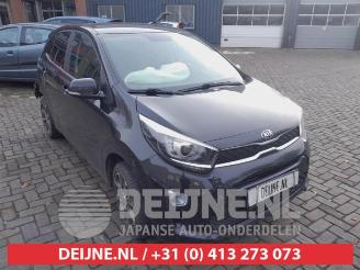 Purkuautot passenger cars Kia Picanto Picanto (JA), Hatchback, 2017 1.0 12V 2017/9
