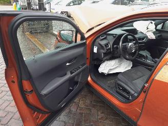 Lexus UX  picture 11