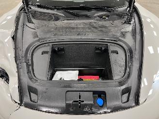 Porsche Taycan Panoramadak picture 16