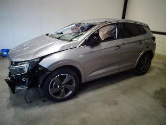 disassembly passenger cars Opel Grandland 1.2 TURBO 2023/12