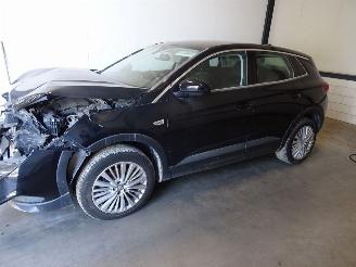 Salvage car Opel Grandland 1.2 TURBO 2019/3