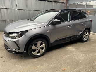 Voiture accidenté Opel Grandland X 1.2 Turbo (96kW) GS Line - Zijschade links- en rechtsachter - Schade linksvoor - Motor ok! 2023/6