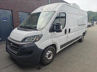 uszkodzony samochody ciężarowe Fiat Ducato 120 L1H1 RS: 3000 mm 2021/6