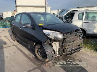 Vrakbiler auto Kia Picanto Picanto (TA), Hatchback, 2011 / 2017 1.2 16V 2014/5