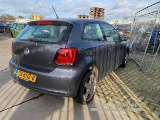 Volkswagen Polo Polo V (6R), Hatchback, 2009 / 2017 1.4 16V picture 4