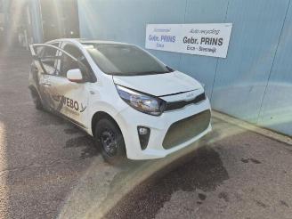 Salvage car Kia Picanto Picanto (JA), Hatchback, 2017 1.0 DPi 12V 2024/1
