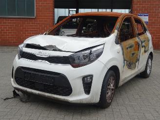 Kia Picanto  picture 2