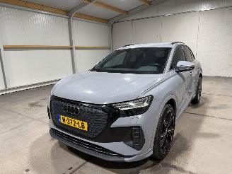 Audi Q4 35 Etron 55kWh 125kW Launch Edition Advanced picture 10