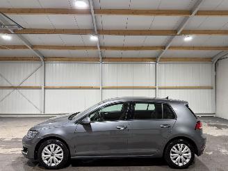 Volkswagen e-Golf 36kWh 100kW Automaat E-Edition picture 8