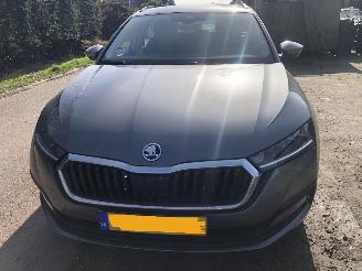 skadebil auto Skoda Octavia Octavia Combi 1.0 TSI Business Edition 2023/7