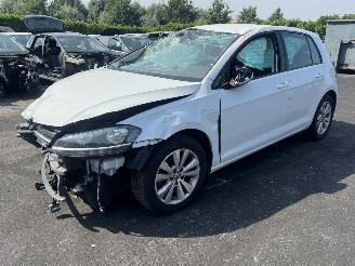 Dezmembrări autoturisme Volkswagen Golf  2017/9