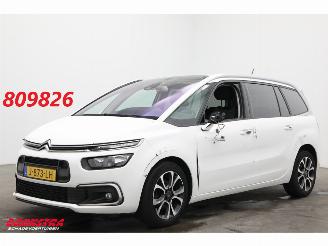 Schadeauto Citroën Grand C4 SpaceTourer 1.2 PureTech Bns 7-Pers. Navi Clima Cruise Camera PDC AHK 46.725 km! 2020/9