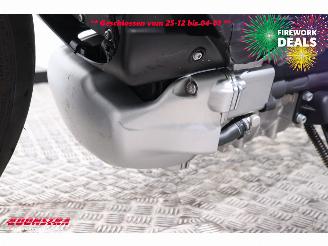 Harley-Davidson  LiveWire LiveWire 5HD BTW! ABS LED Bluetooth Cruise picture 10