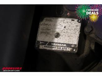   C 610 Compact BY 2011 Rupshijskraan Raupenkran picture 20