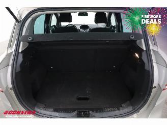 Ford B-Max 1.0 EcoBoost Titanium Navi Clima Cruise Camera PDC 139.571 km! picture 23