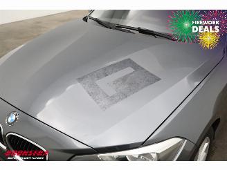 BMW 1-serie 116d EDE Navi Airco Cruise PDC picture 5