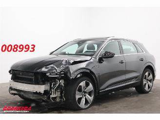 skadebil auto Audi E-tron 55 quattro 95 kWh Pano LED Cruise SHZ PDC 2019/5