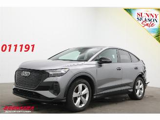uszkodzony samochody osobowe Audi Q4 45 quattro Edition 77 kWh LED ACC Virtual Camera SHZ 2024/6