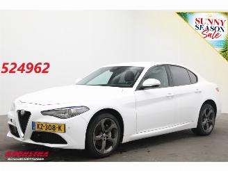 Vaurioauto  passenger cars Alfa Romeo Giulia 2.2 Eco Business Super Leder BiXenon Navi Clima Cruise Camera 2017/1