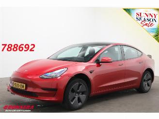 damaged passenger cars Tesla Model 3 Standard RWD Plus 60 kWh Pano LED ACC Leder Camera 2023/5