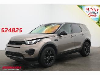 škoda osobní automobily Land Rover Discovery Sport 2.2 TD4 Aut. Unfall 4WD SE Cruise Navi Clima PDC 2015/5