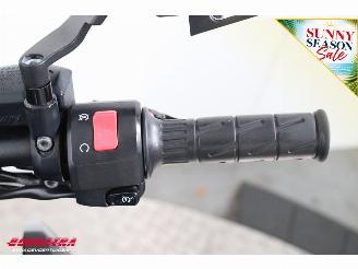 Kawasaki Z 800 ABS e-version Arrow picture 17