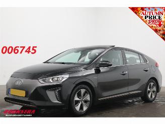 Sloopauto Hyundai Ioniq Premium EV Camera Infinity Pano Memory Audio Clima LED Navi 2017/3